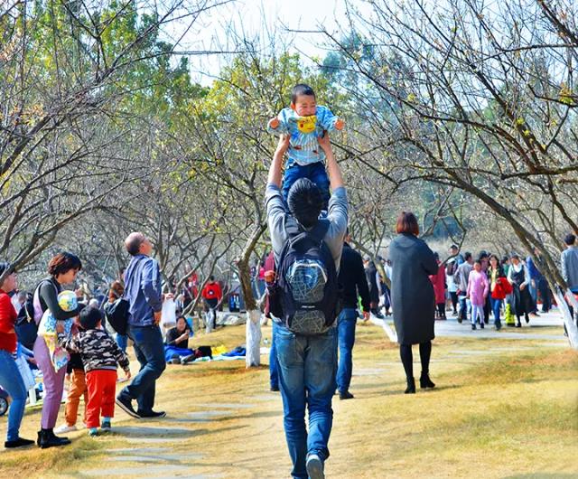 微信图片_20180314150038.jpg 微信图片_20180314150038.jpg