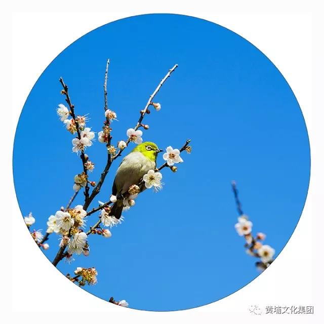 微信图片_20180314150307.jpg 微信图片_20180314150307.jpg