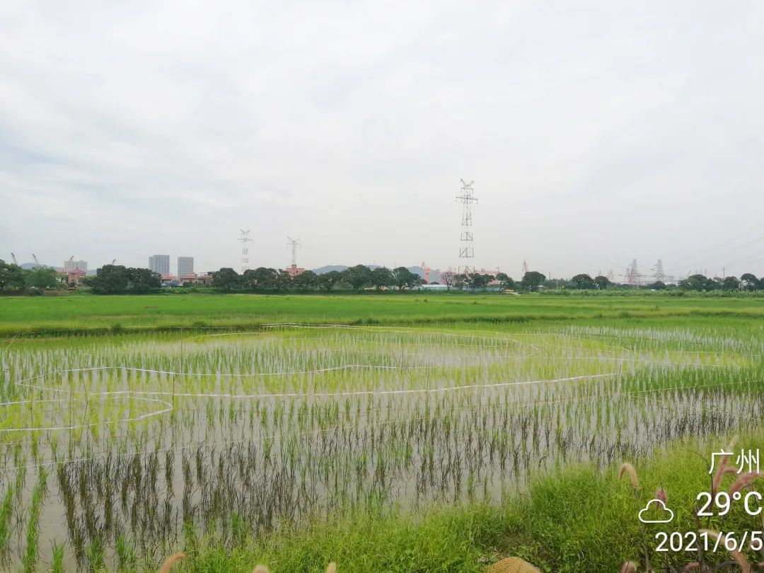 微信图片_20210625154738.jpg 微信图片_20210625154738.jpg