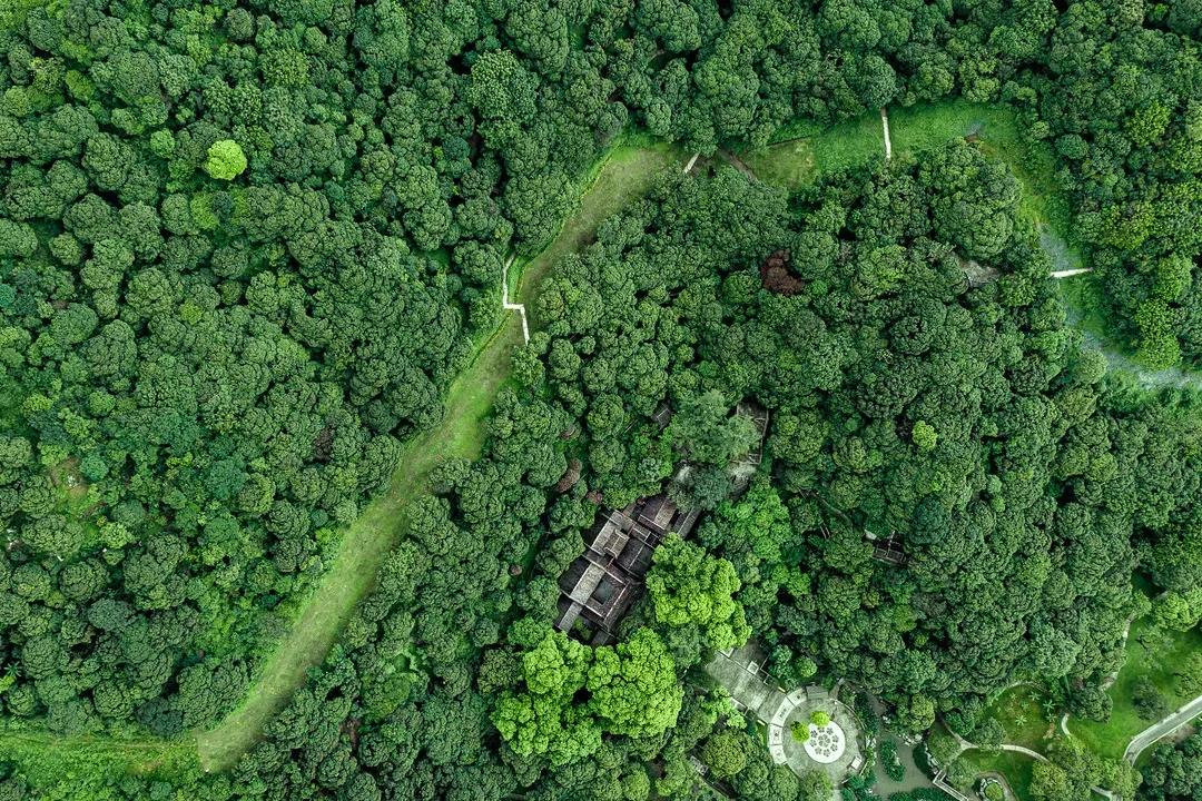 微信图片_20210628092622.jpg 微信图片_20210628092622.jpg