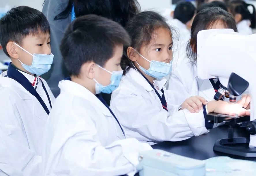 微信图片_20210708093038.jpg 微信图片_20210708093038.jpg