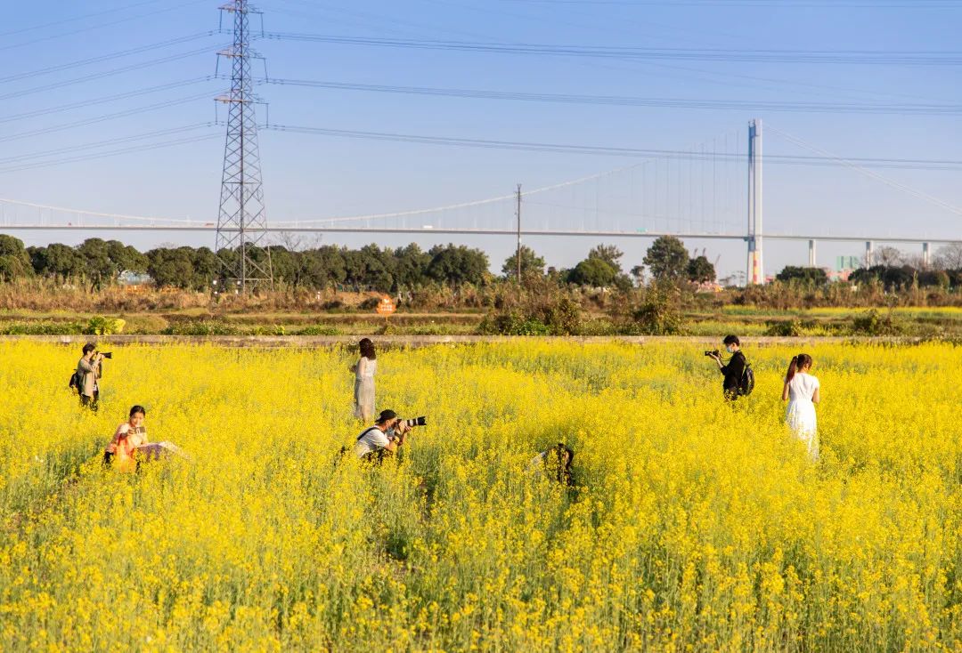 微信图片_20210922102429.jpg 微信图片_20210922102429.jpg